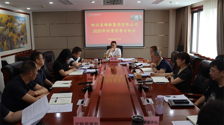 集團(tuán)公司召開2025年經(jīng)營形勢分析會(huì)