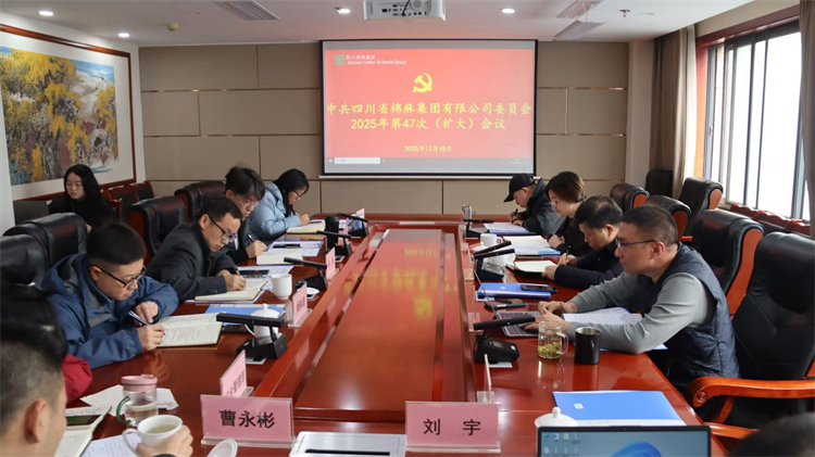 集團(tuán)公司召開2025年第47次黨委（擴(kuò)大）會(huì)議