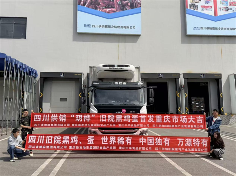 四川供銷舊院黑雞蛋首發重慶新發地